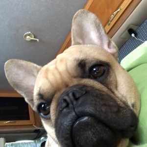 Meet your Posher, Laura